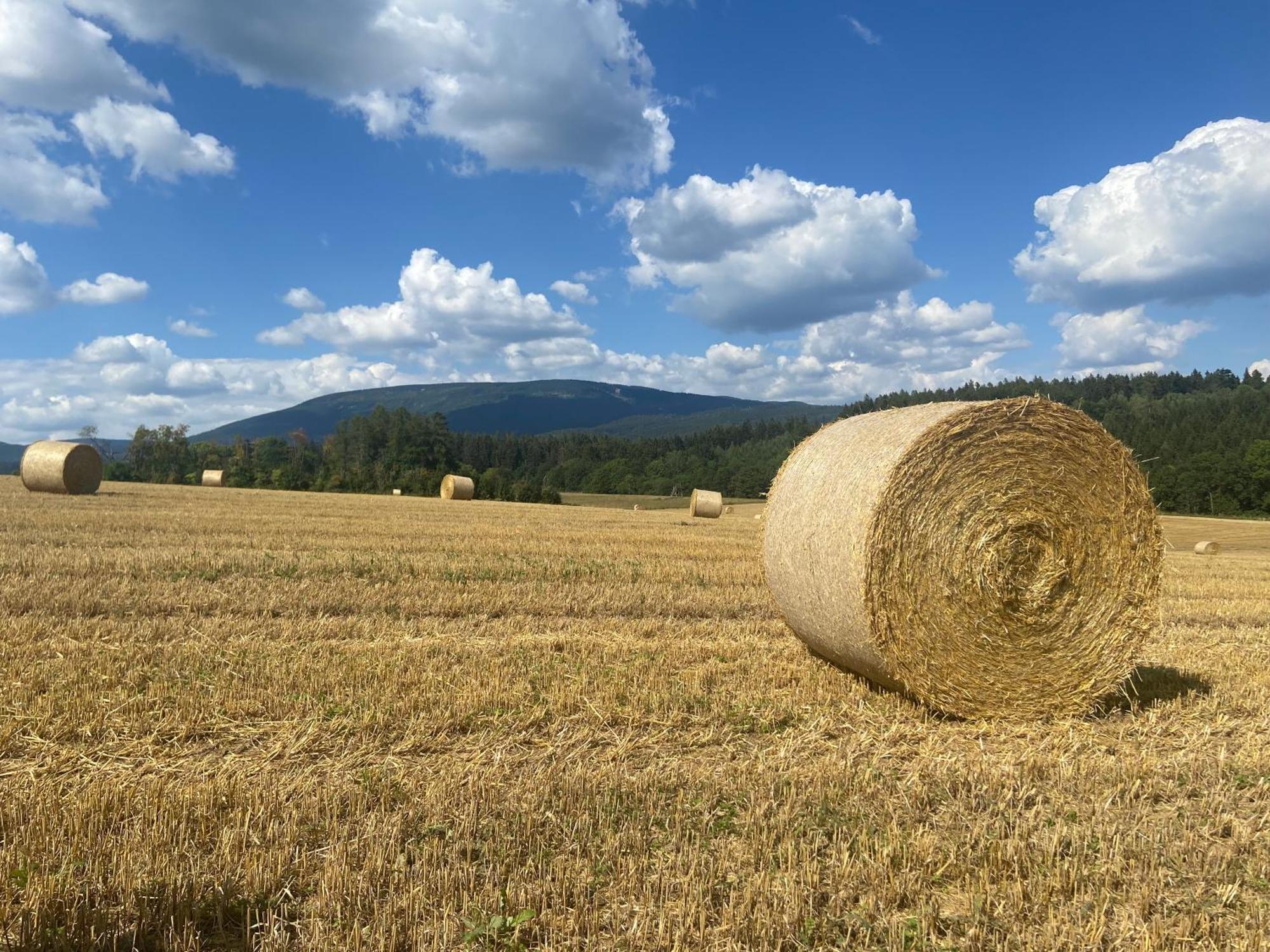 Chalupa Janovice Rudnik ภายนอก รูปภาพ